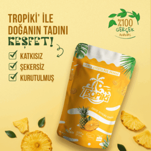 kurutulmuş %100 doğal ananas 1 koli